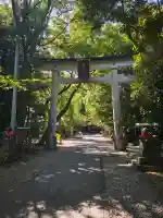 若宮八幡宮の{uncategorized: "未分類", other: "その他", undefined: "問題あり", building: "その他建物", grave: "お墓", sacred_gate: "鳥居", guardian: "狛犬", statue: "像", buddha: "仏像", history: "歴史", nature: "自然", garden: "庭園", animal: "動物", pagoda: "塔", temizu: "手水舎", mountain_gate: "山門・神門", sanctuary: "本殿・本堂", subordinate: "末社・摂社", art: "芸術", scenery: "景色", jizo: "地蔵", ema: "絵馬", goshuin: "御朱印", omikuji: "おみくじ", items: "授与品その他", amulet: "お守り", goshuincho: "御朱印帳", eats: "食事", festival: "お祭り", votive_dance: "神楽", shichigosan: "七五三参", wedding: "結婚式", experience: "体験その他", initially: "初詣", around: "周辺", anti_infection: "感染症対策"}