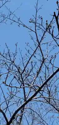 本荘神社(秋田県)