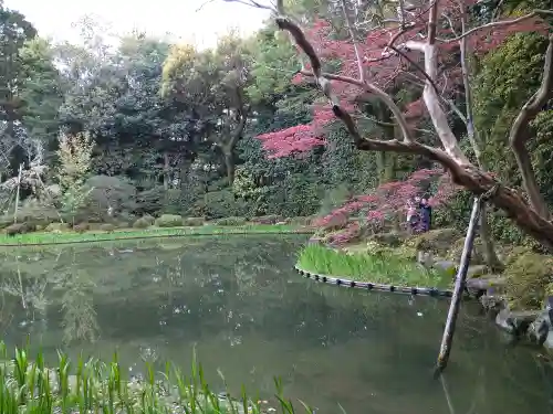 平安神宮の庭園