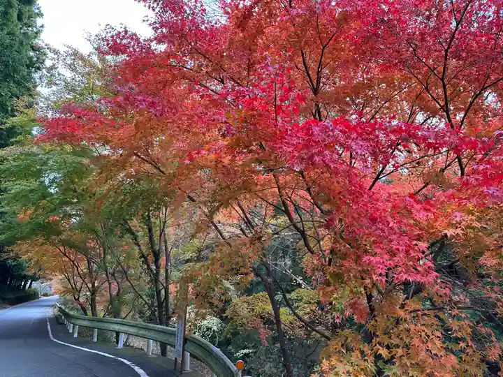 須山浅間神社(静岡県)
