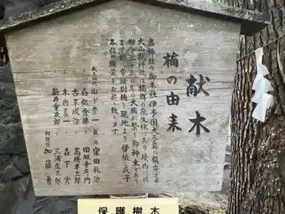 御神木の由来説明版