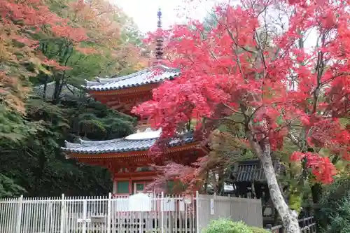 大威徳寺の塔