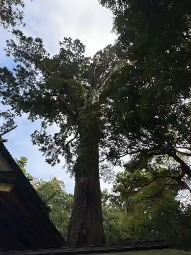 鹿島神宮(茨城県)