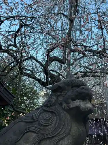 牛天神北野神社の{uncategorized: "未分類", other: "その他", undefined: "問題あり", building: "その他建物", grave: "お墓", sacred_gate: "鳥居", guardian: "狛犬", statue: "像", buddha: "仏像", history: "歴史", nature: "自然", garden: "庭園", animal: "動物", pagoda: "塔", temizu: "手水舎", mountain_gate: "山門・神門", sanctuary: "本殿・本堂", subordinate: "末社・摂社", art: "芸術", scenery: "景色", jizo: "地蔵", ema: "絵馬", goshuin: "御朱印", omikuji: "おみくじ", items: "授与品その他", amulet: "お守り", goshuincho: "御朱印帳", eats: "食事", festival: "お祭り", votive_dance: "神楽", shichigosan: "七五三参", wedding: "結婚式", experience: "体験その他", initially: "初詣", around: "周辺", anti_infection: "感染症対策"}