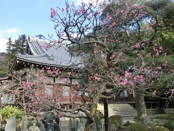 円覚寺の庭園
