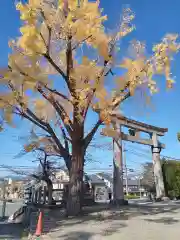 豊国神社(京都府)