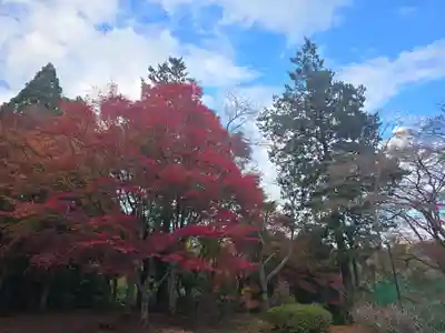 温泉寺(兵庫県)