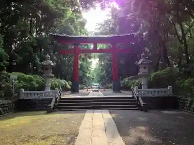 大宮八幡宮の鳥居