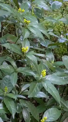 西源院(京都府)