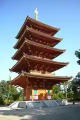 智恩寺の塔