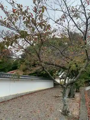 彌都加伎神社(三重県)