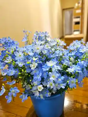 美幌神社(北海道)