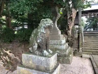 揖夜神社の狛犬