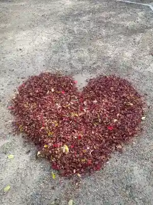 笠置寺の{uncategorized: "未分類", other: "その他", undefined: "問題あり", building: "その他建物", grave: "お墓", sacred_gate: "鳥居", guardian: "狛犬", statue: "像", buddha: "仏像", history: "歴史", nature: "自然", garden: "庭園", animal: "動物", pagoda: "塔", temizu: "手水舎", mountain_gate: "山門・神門", sanctuary: "本殿・本堂", subordinate: "末社・摂社", art: "芸術", scenery: "景色", jizo: "地蔵", ema: "絵馬", goshuin: "御朱印", omikuji: "おみくじ", items: "授与品その他", amulet: "お守り", goshuincho: "御朱印帳", eats: "食事", festival: "お祭り", votive_dance: "神楽", shichigosan: "七五三参", wedding: "結婚式", experience: "体験その他", initially: "初詣", around: "周辺", anti_infection: "感染症対策"}