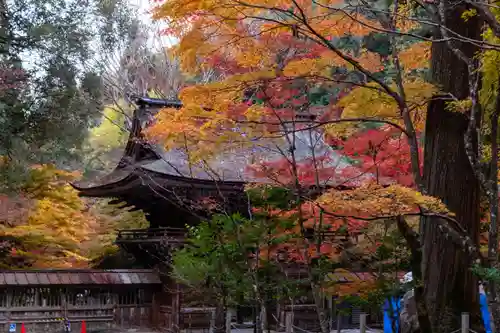 大矢田神社(岐阜県)