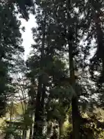 大宮温泉神社(栃木県)