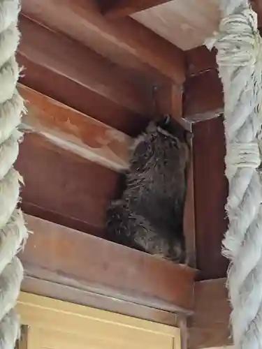 厚別神社(北海道)