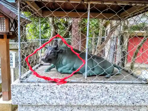 丸山神明社の狛犬