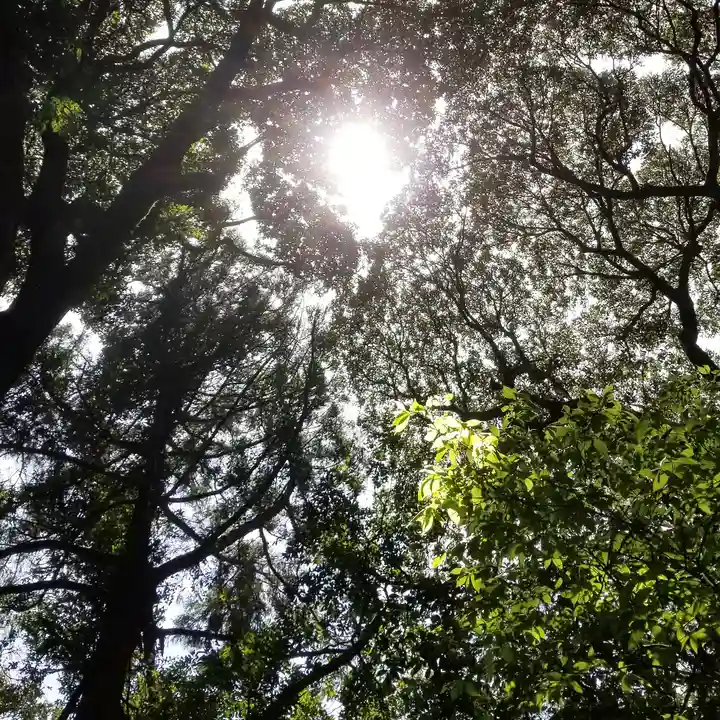 沼尾神社の自然