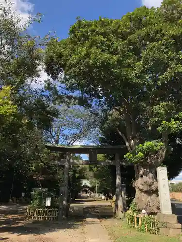 畑子安神社の鳥居