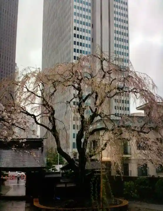 常圓寺(東京都)