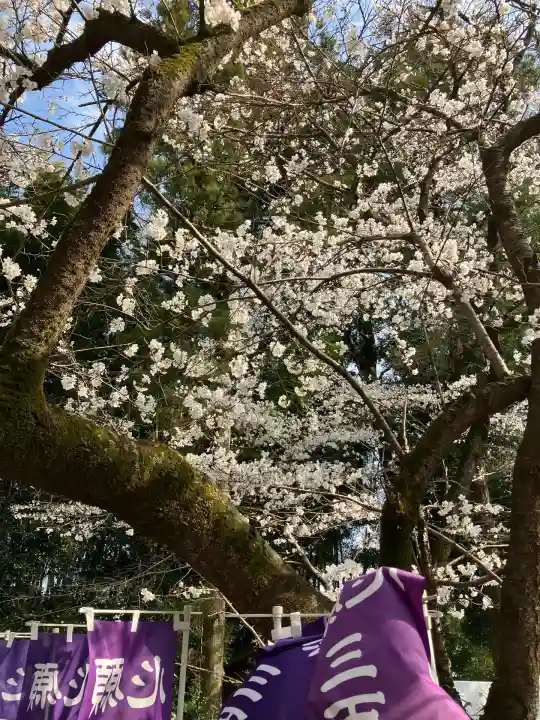 下野 星宮神社(栃木県)