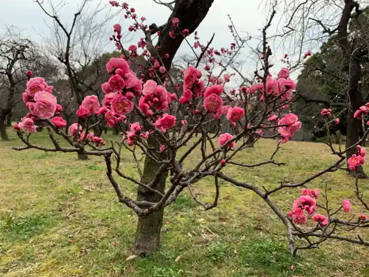 多治速比売神社の自然