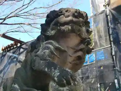 代々木八幡宮の狛犬