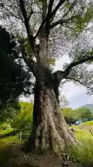 一宮神社(兵庫県)