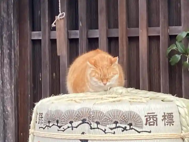 伊勢神宮内宮(皇大神宮)(三重県)