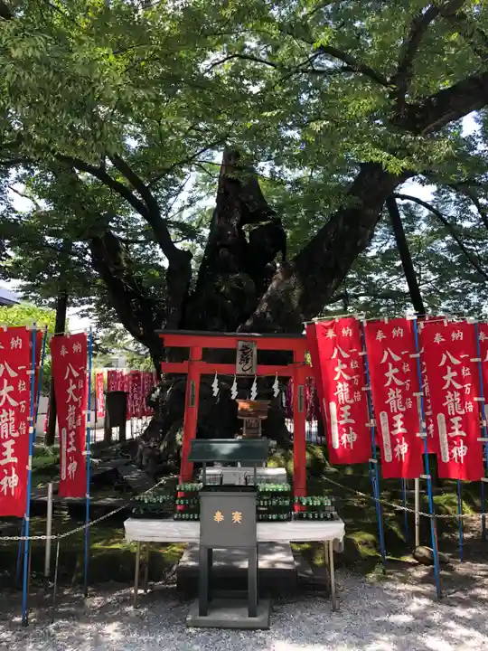 秩父今宮神社(埼玉県)