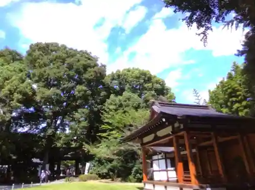 阿佐ヶ谷神明宮(東京都)