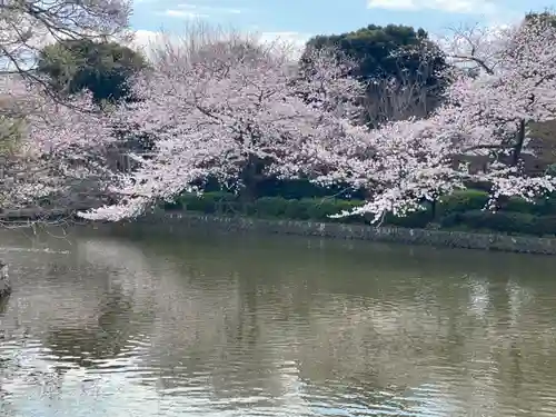 鶴岡八幡宮の自然