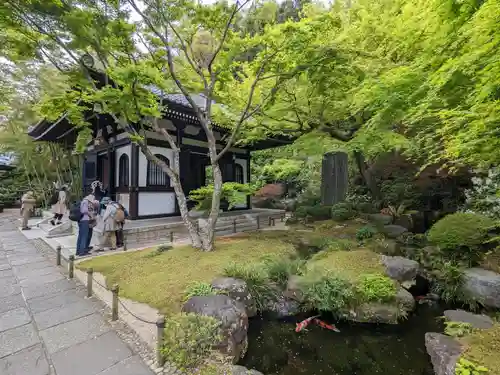 長谷寺の庭園