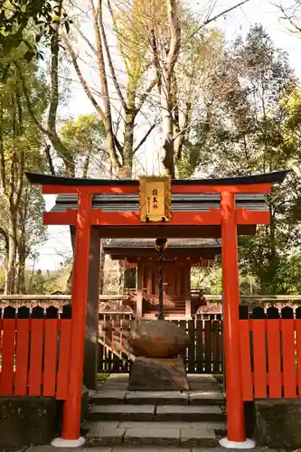 賀茂御祖神社（下鴨神社）(京都府)