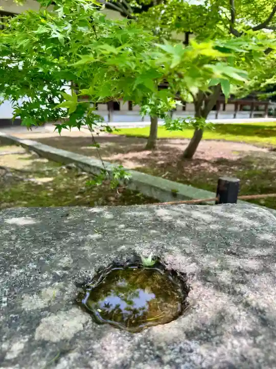 青蓮院門跡の{uncategorized: "未分類", other: "その他", undefined: "問題あり", building: "その他建物", grave: "お墓", sacred_gate: "鳥居", guardian: "狛犬", statue: "像", buddha: "仏像", history: "歴史", nature: "自然", garden: "庭園", animal: "動物", pagoda: "塔", temizu: "手水舎", mountain_gate: "山門・神門", sanctuary: "本殿・本堂", subordinate: "末社・摂社", art: "芸術", scenery: "景色", jizo: "地蔵", ema: "絵馬", goshuin: "御朱印", omikuji: "おみくじ", items: "授与品その他", amulet: "お守り", goshuincho: "御朱印帳", eats: "食事", festival: "お祭り", votive_dance: "神楽", shichigosan: "七五三参", wedding: "結婚式", experience: "体験その他", initially: "初詣", around: "周辺", anti_infection: "感染症対策"}
