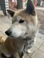 笠䅣稲荷神社(神奈川県)