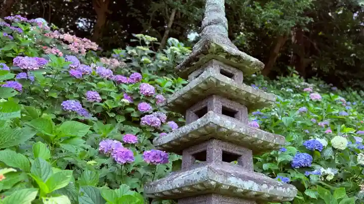 長谷寺(神奈川県)