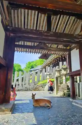 東大寺 二月堂(奈良県)