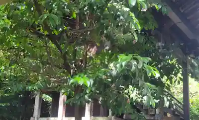 南豫護国神社(愛媛県)