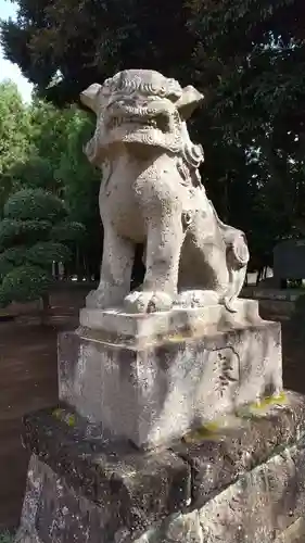 伏木香取神社の狛犬