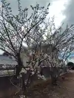 八幡神社(埼玉県)