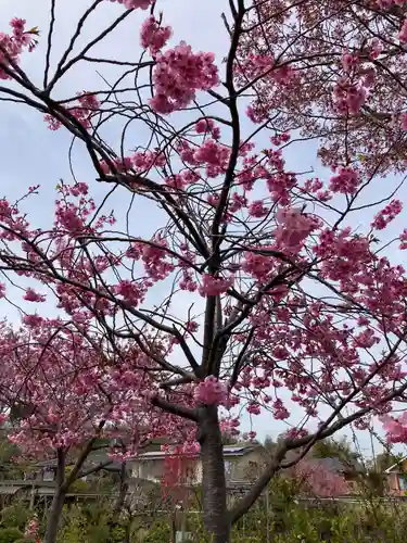 正覚院(神奈川県)