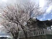 白山神社(福井県)