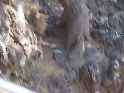 山野浅間神社(千葉県)