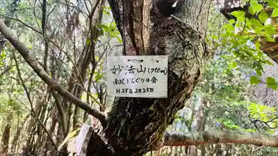 阿弥陀寺の自然