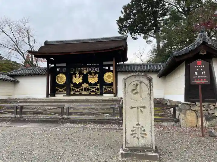 醍醐寺(京都府)