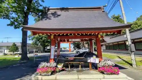 北海道護國神社の手水