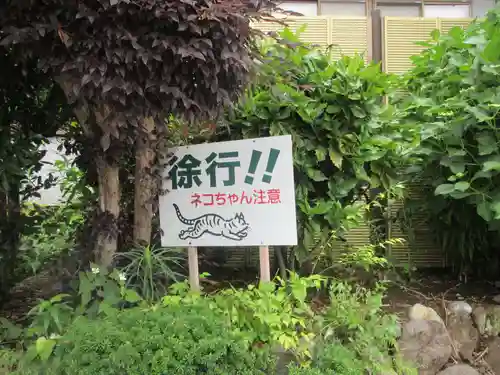 潮音寺(神奈川県)