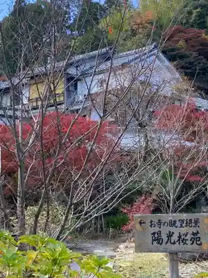 柳谷観音　楊谷寺(京都府)